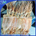 New Frozen dried illex squid hot sale in Thailand